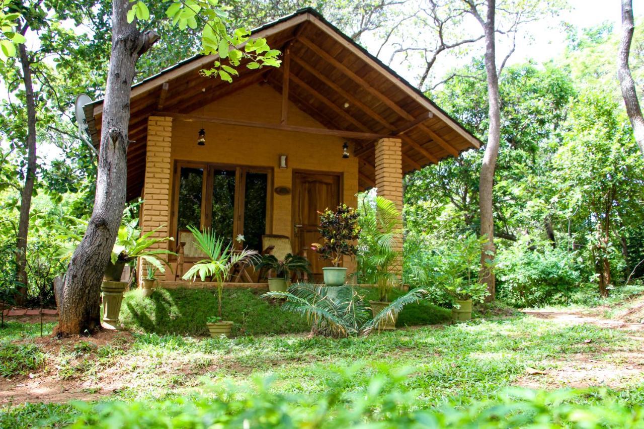 Lotus Eco Villa Sigiriya Exterior foto
