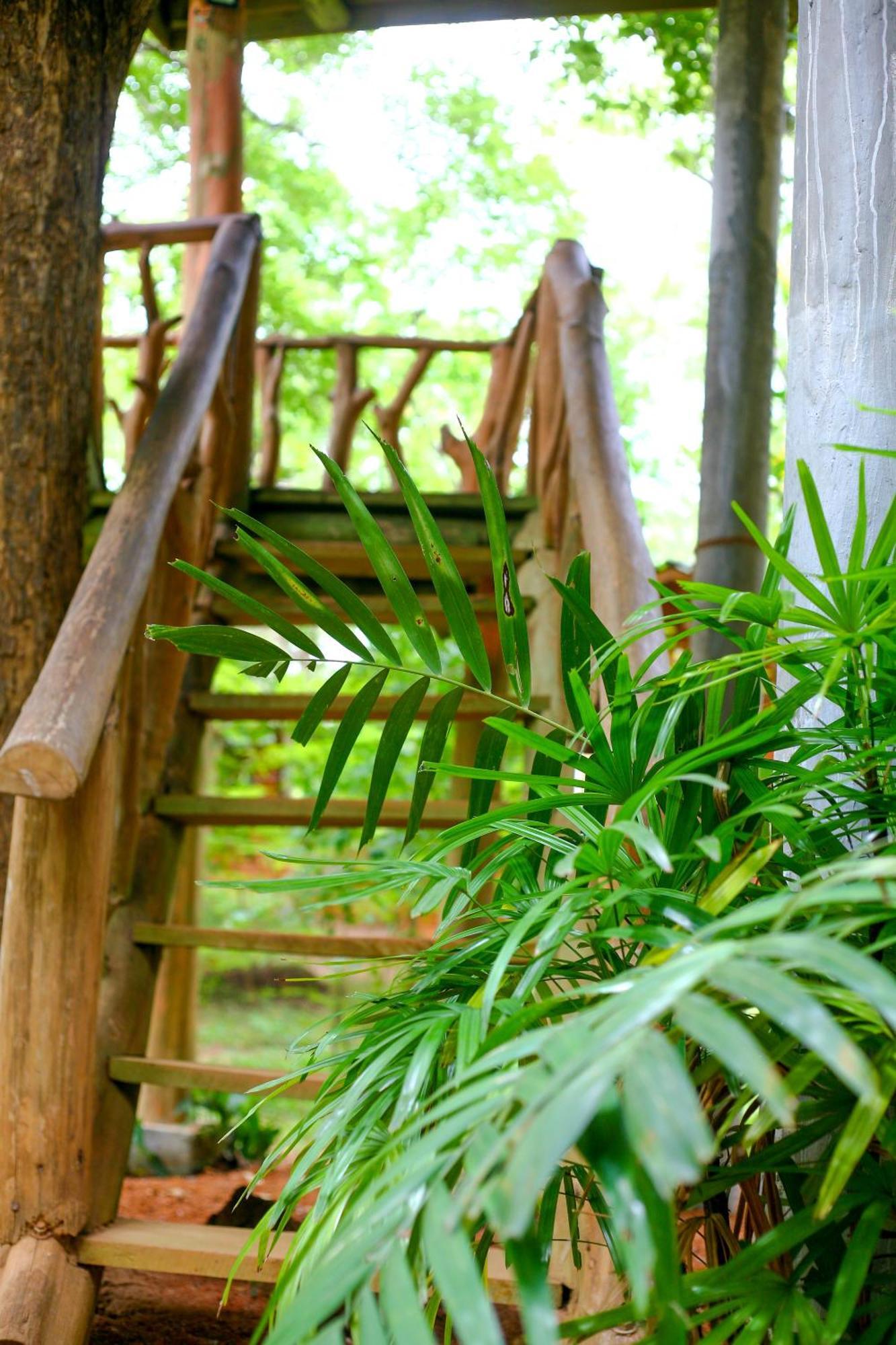 Lotus Eco Villa Sigiriya Exterior foto