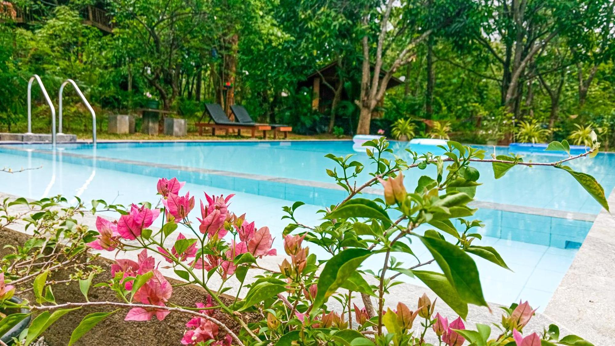 Lotus Eco Villa Sigiriya Exterior foto