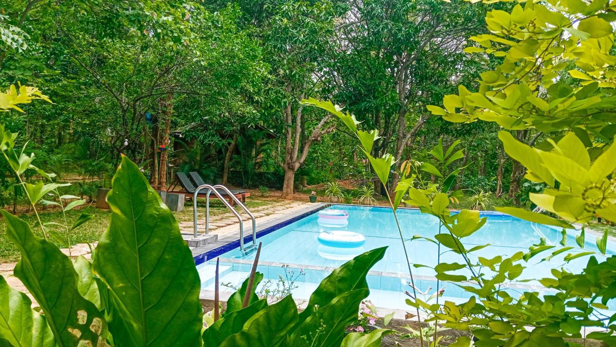 Lotus Eco Villa Sigiriya Exterior foto