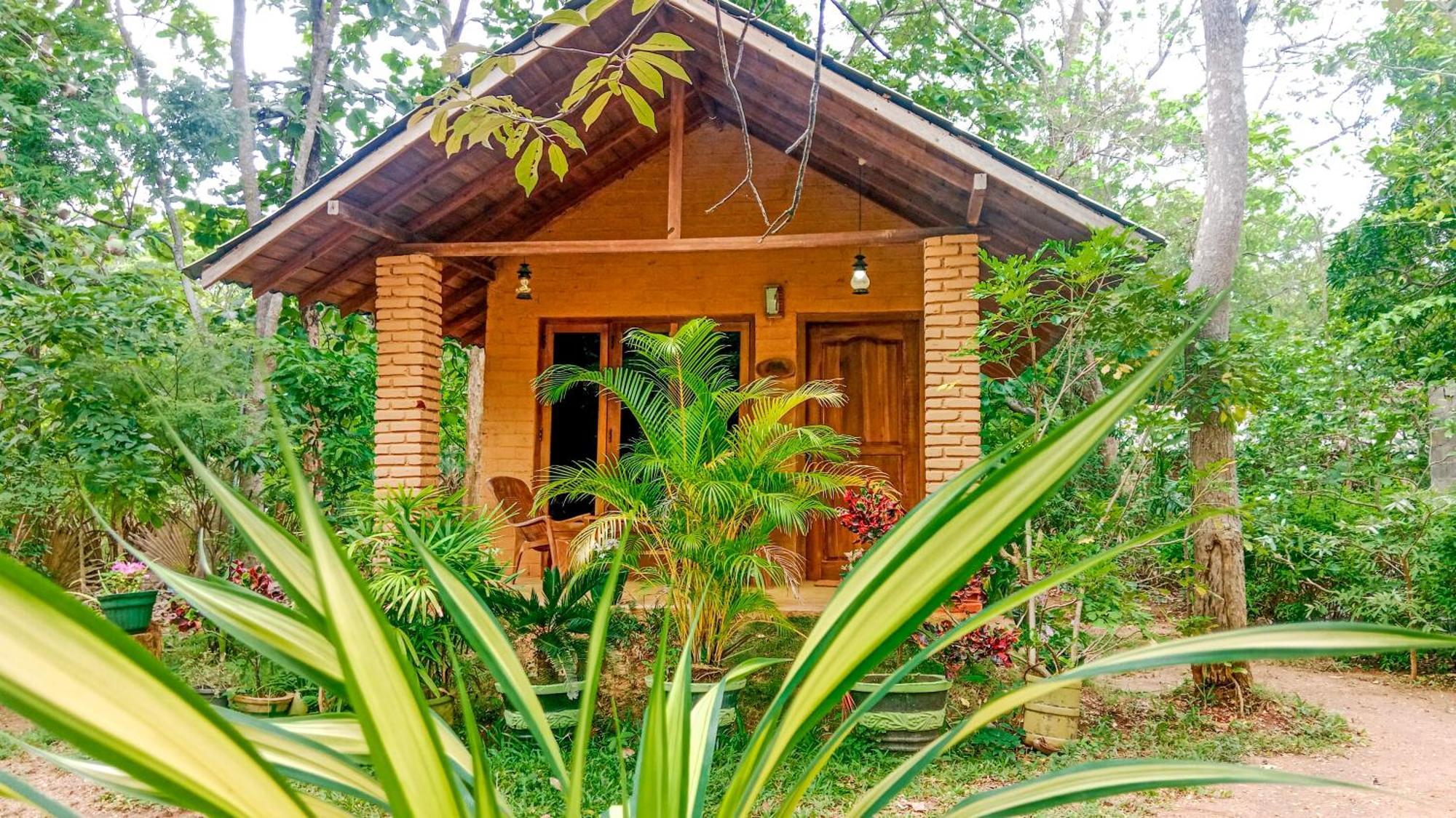 Lotus Eco Villa Sigiriya Exterior foto