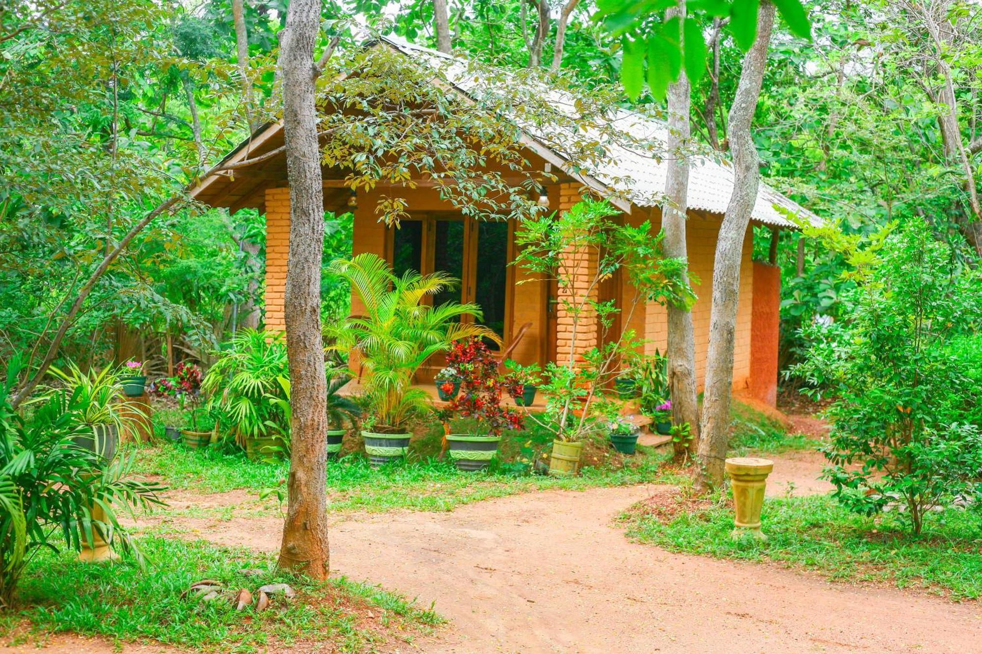 Lotus Eco Villa Sigiriya Exterior foto